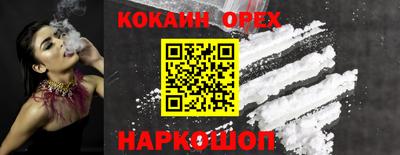 СК Камень-на-Оби