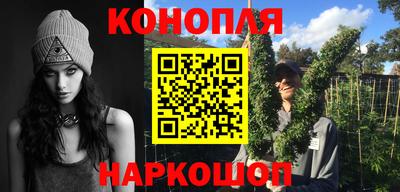 СК Камень-на-Оби