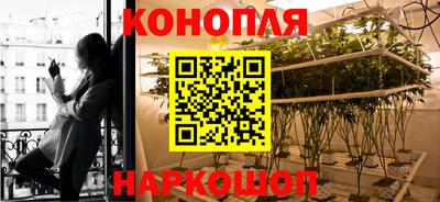 jwh Каменск-Шахтинский