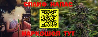 СК Камень-на-Оби