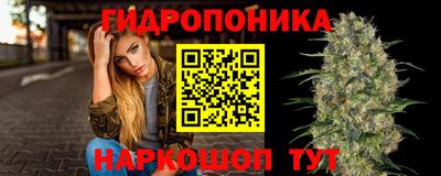 СК Камень-на-Оби