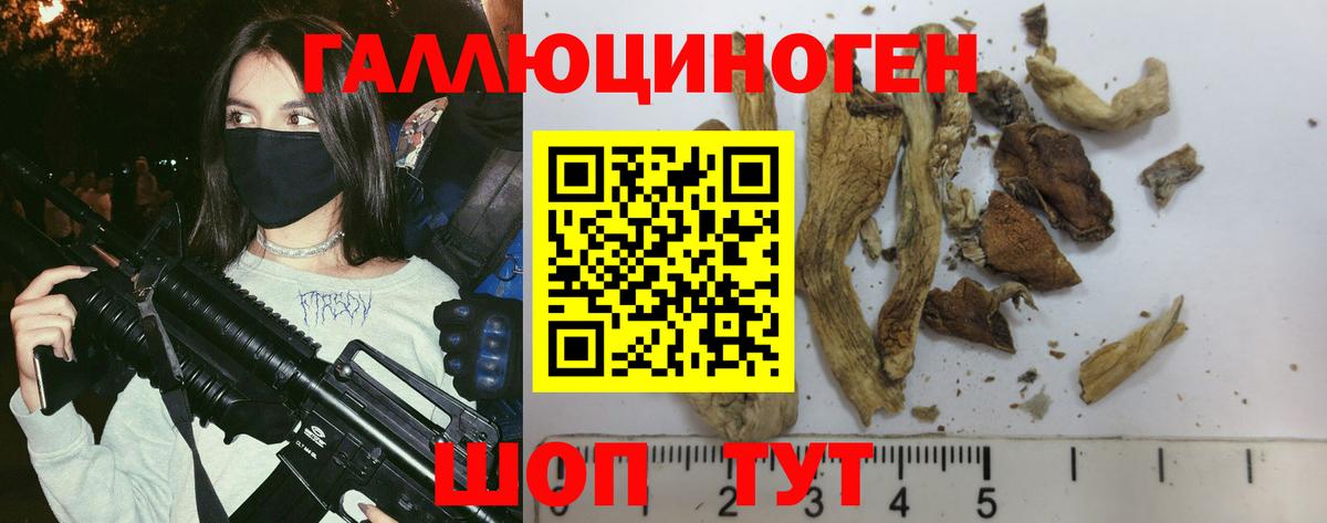 Псилоцибиновые грибы Magic Shrooms  где найти наркотики  Нижний Тагил  Вход с VPN 